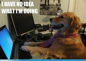 dog-meme-no-idea-300x215