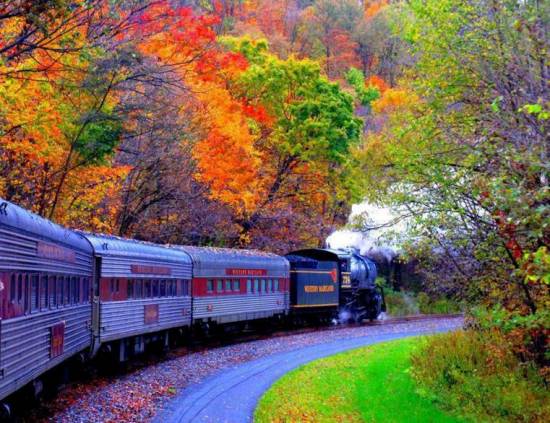 train fall leaves
