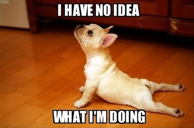 i-have-no-idea-what-Im-doing-meme-27