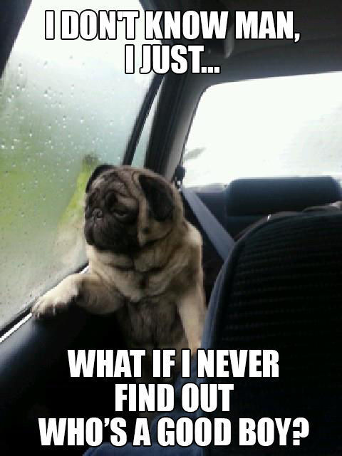 introspectivepug